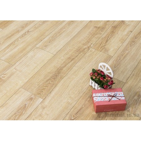 SOLID PLUS R621W SOLID PLUS R621W