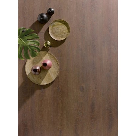 SOLID PLUS R559W SOLID PLUS R559W