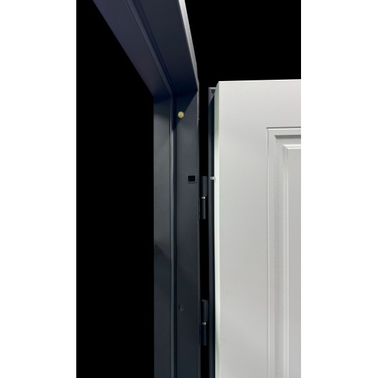 Ārdurvis Termix ar termo pārrāvumu - Antracīts Ārdurvis Termix ar termo pārrāvumu - Antracīts