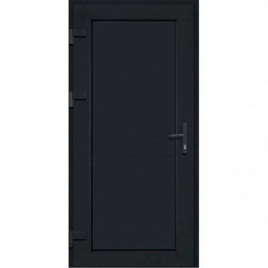Entrance Door WST-S-T116 Anthracite