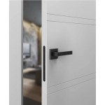 Межкомнатная крашеная дверь FELISA 4 c магнитным замком Межкомнатная крашеная дверь FELISA 4 c магнитным замком