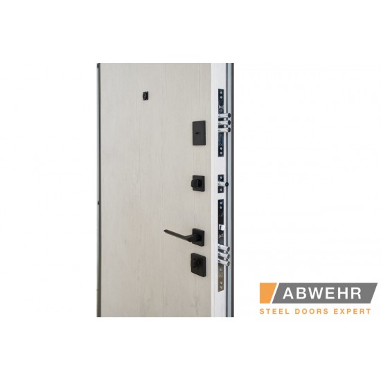 Entrance doors for apartment RAIL