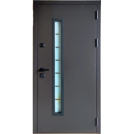 Ārdurvis mājai DAGMA  8019